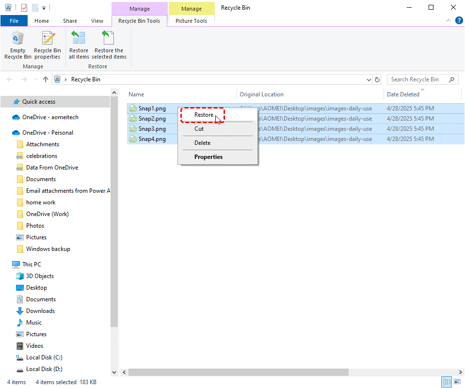 Recycle Bin Recovery 